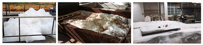 中国·9091美高梅(股份)有限公司-官方网站