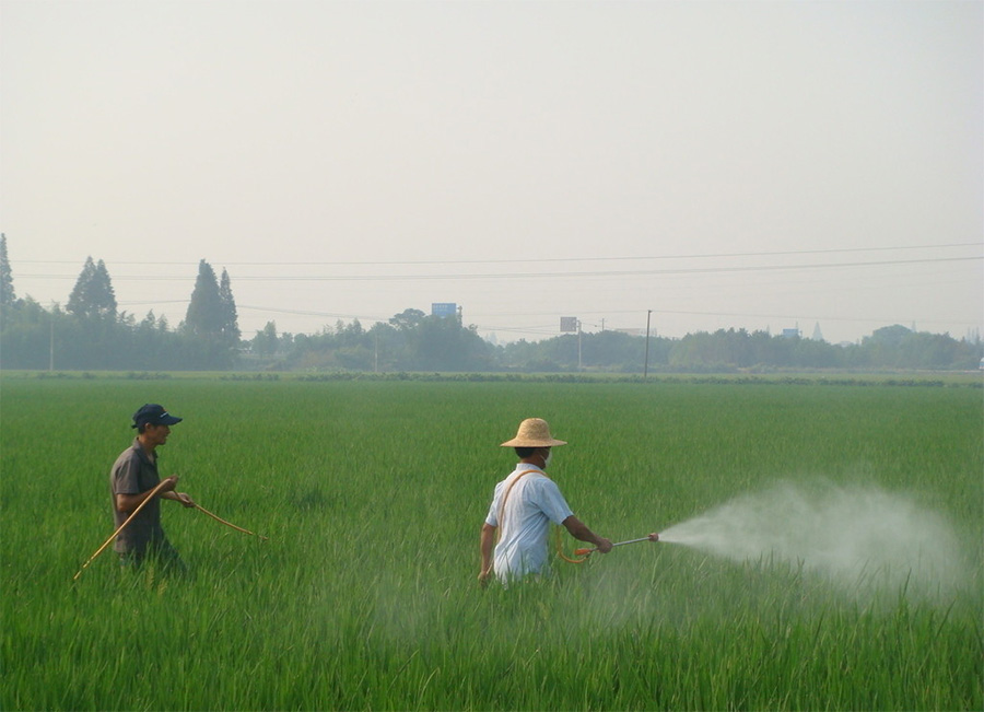 中国·9091美高梅(股份)有限公司-官方网站