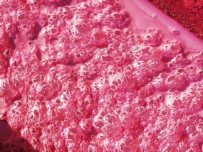 中国·9091美高梅(股份)有限公司-官方网站