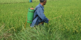 案例剖析之除草消泡剂的妙用